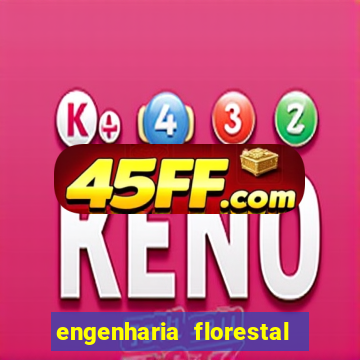 engenharia florestal ead cruzeiro do sul